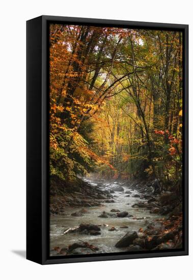 Autumn Stream of Dreams, Deep Vermont in Fall, Outside Burlington-Vincent James-Framed Premier Image Canvas