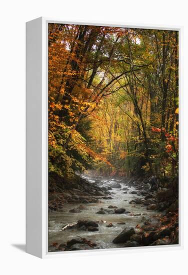 Autumn Stream of Dreams, Deep Vermont in Fall, Outside Burlington-Vincent James-Framed Premier Image Canvas