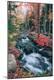 Premium Photographic Print