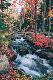 Premium Photographic Print