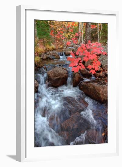 Autumn Stream Through Acadia-Vincent James-Framed Photographic Print