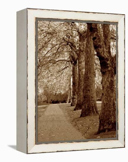 Autumn Stroll I-Boyce Watt-Framed Stretched Canvas