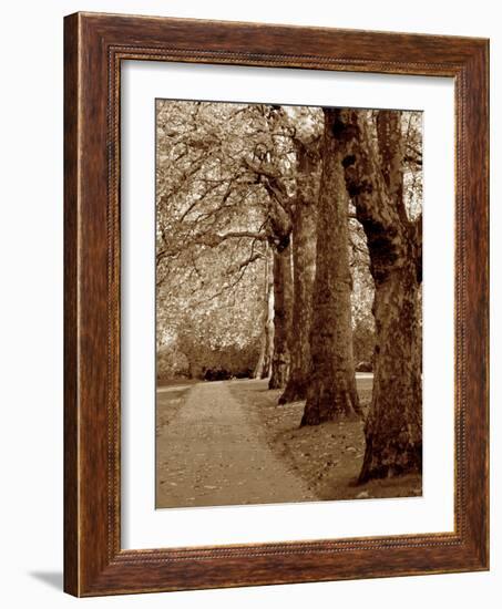 Autumn Stroll I-Boyce Watt-Framed Art Print