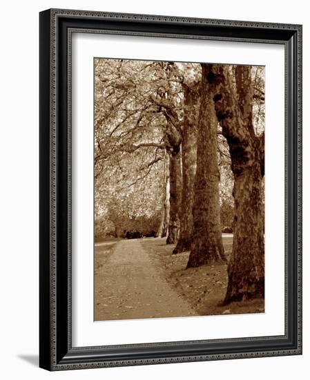 Autumn Stroll I-Boyce Watt-Framed Art Print