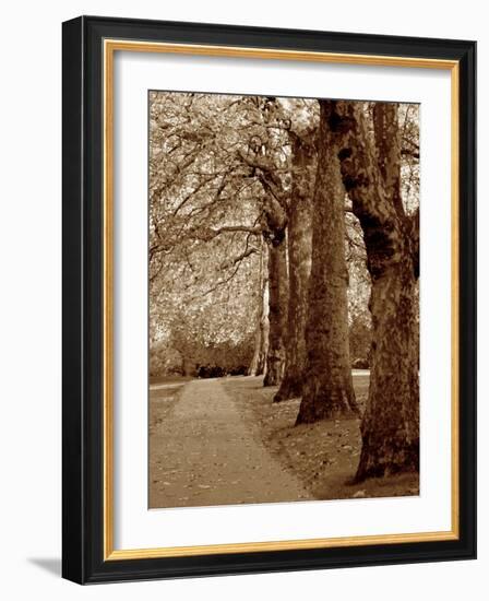 Autumn Stroll I-Boyce Watt-Framed Art Print