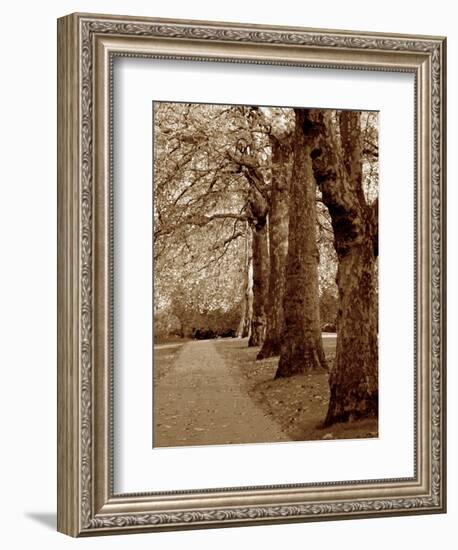 Autumn Stroll I-Boyce Watt-Framed Art Print