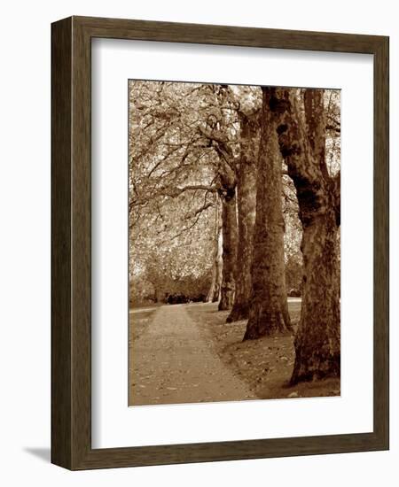 Autumn Stroll I-Boyce Watt-Framed Art Print