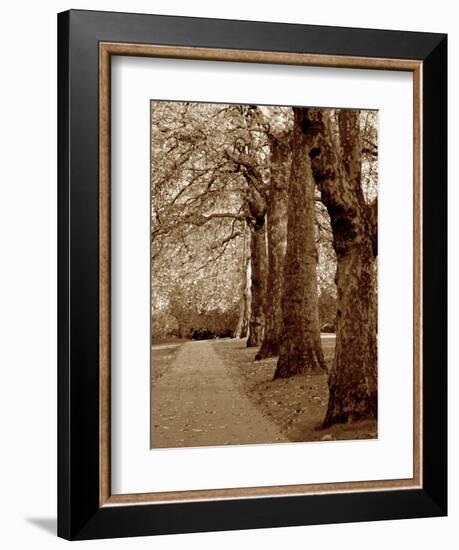 Autumn Stroll I-Boyce Watt-Framed Art Print