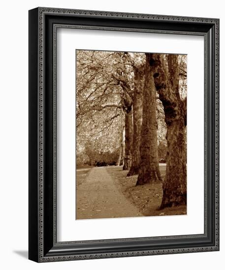 Autumn Stroll I-Boyce Watt-Framed Art Print