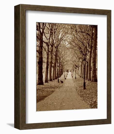 Autumn Stroll II-Boyce Watt-Framed Art Print