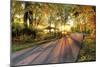 Autumn Sunrays-5fishcreative-Mounted Giclee Print