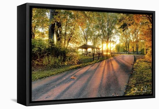 Autumn Sunrays-5fishcreative-Framed Premier Image Canvas