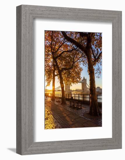 Autumn sunrise in grounds of the Tower of London, with Tower Bridge, London-Ed Hasler-Framed Photographic Print