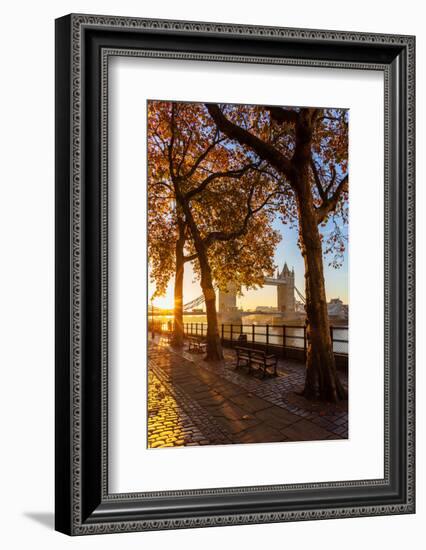 Autumn sunrise in grounds of the Tower of London, with Tower Bridge, London-Ed Hasler-Framed Photographic Print