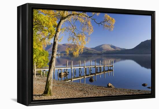 Autumn sunshine over Brandlehow, Borrowdale, The Lake District National Park, Cumbria, England, Uni-John Potter-Framed Premier Image Canvas