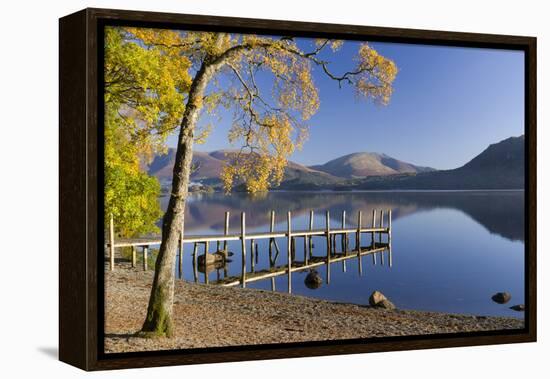 Autumn sunshine over Brandlehow, Borrowdale, The Lake District National Park, Cumbria, England, Uni-John Potter-Framed Premier Image Canvas