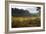 Autumn Surrey-Charles Bowman-Framed Photographic Print