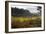 Autumn Surrey-Charles Bowman-Framed Photographic Print