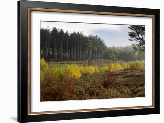 Autumn Surrey-Charles Bowman-Framed Photographic Print