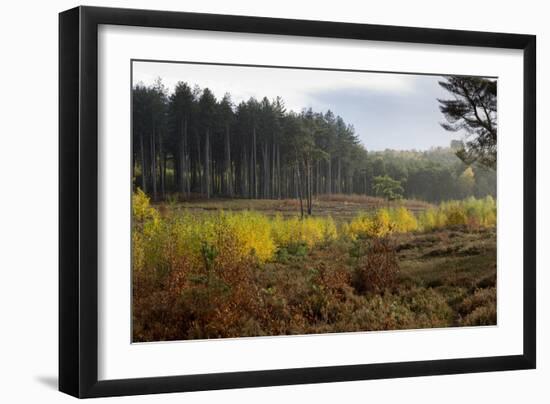 Autumn Surrey-Charles Bowman-Framed Photographic Print