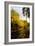 Autumn Surrey-Charles Bowman-Framed Photographic Print