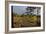 Autumn Surrey-Charles Bowman-Framed Photographic Print