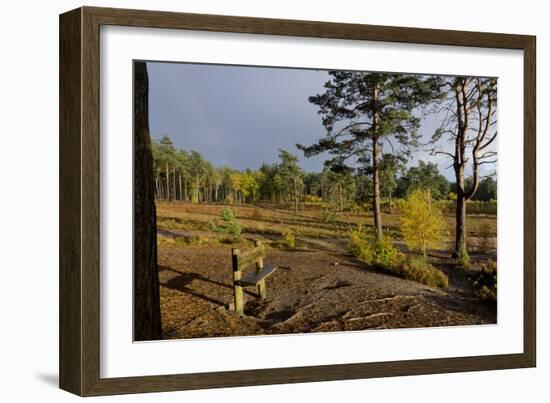 Autumn Surrey-Charles Bowman-Framed Photographic Print