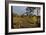 Autumn Surrey-Charles Bowman-Framed Photographic Print