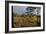 Autumn Surrey-Charles Bowman-Framed Photographic Print