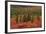 Autumn, Taiga, Denali National Park, Alaska, USA-Michel Hersen-Framed Photographic Print