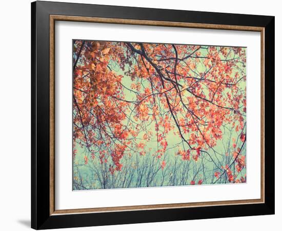 Autumn Tapestry II-Judy Stalus-Framed Photographic Print