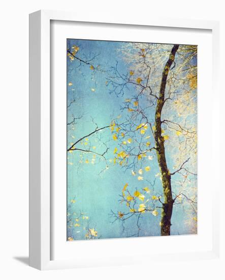 Autumn Tapestry III-Judy Stalus-Framed Photographic Print