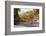 Autumn, Temperance River-Steven Gaertner-Framed Photographic Print