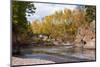 Autumn, Temperance River-Steven Gaertner-Mounted Photographic Print