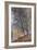 Autumn, the Banks of the Loing; L'Autumne, Bords Du Loing, 1880-Alfred Sisley-Framed Giclee Print