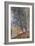 Autumn, the Banks of the Loing; L'Autumne, Bords Du Loing, 1880-Alfred Sisley-Framed Giclee Print