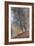 Autumn, the Banks of the Loing-Alfred Sisley-Framed Giclee Print