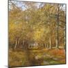 Autumn Time-Clive Madgwick-Mounted Giclee Print