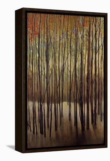 Autumn Time-Tim O'toole-Framed Premier Image Canvas