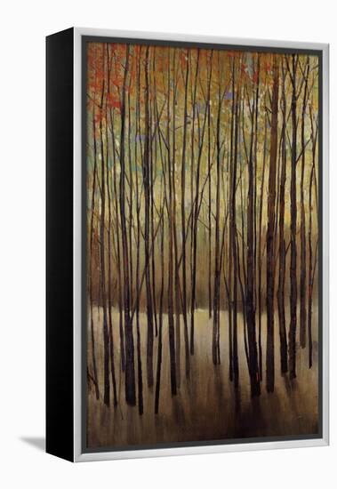 Autumn Time-Tim O'toole-Framed Premier Image Canvas