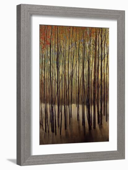 Autumn Time-Tim O'toole-Framed Giclee Print