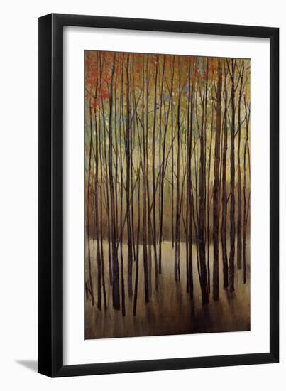 Autumn Time-Tim O'toole-Framed Giclee Print