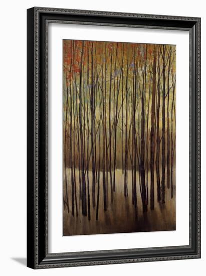 Autumn Time-Tim O'toole-Framed Giclee Print