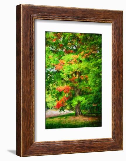 Autumn touch-Philippe Sainte-Laudy-Framed Photographic Print