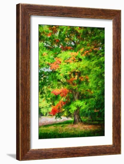 Autumn touch-Philippe Sainte-Laudy-Framed Photographic Print