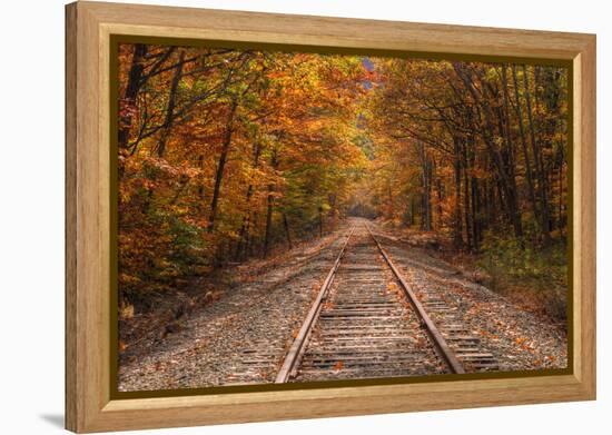 Autumn Tracks into Fall, Bartlett, New Hampshire-Vincent James-Framed Premier Image Canvas