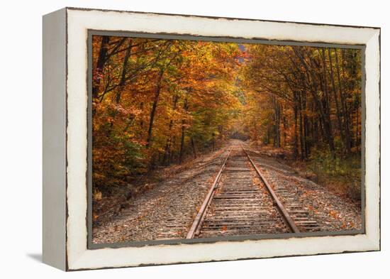 Autumn Tracks into Fall, Bartlett, New Hampshire-Vincent James-Framed Premier Image Canvas