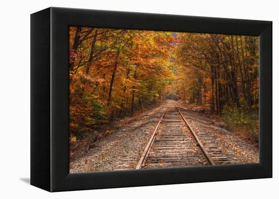 Autumn Tracks into Fall, Bartlett, New Hampshire-Vincent James-Framed Premier Image Canvas