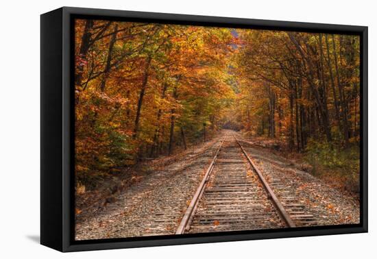 Autumn Tracks into Fall, Bartlett, New Hampshire-Vincent James-Framed Premier Image Canvas