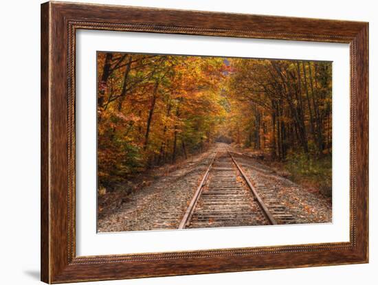 Autumn Tracks into Fall, Bartlett, New Hampshire-Vincent James-Framed Photographic Print